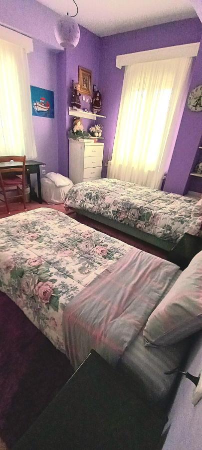 Villa Malena Alykes Beach 沃洛斯 外观 照片